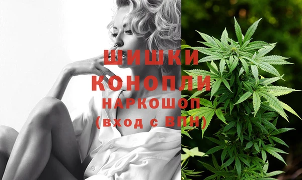 спайс Богородицк
