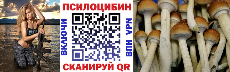 цена наркотик  Надым  Псилоцибиновые грибы Cubensis 